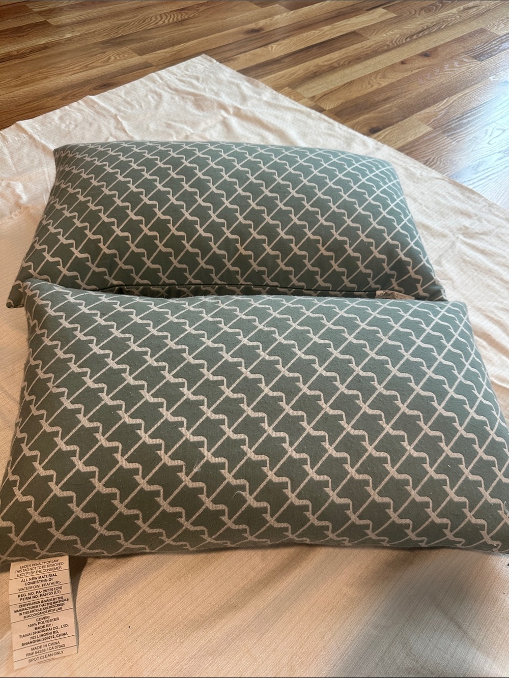 Geometric Sage Green Decorative Down Throw Pillows (Set of 2) 22”x12”